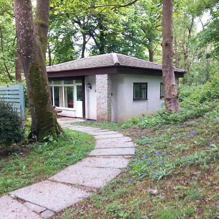 Woodland Retreat Villa Uny Lelant Exteriör bild